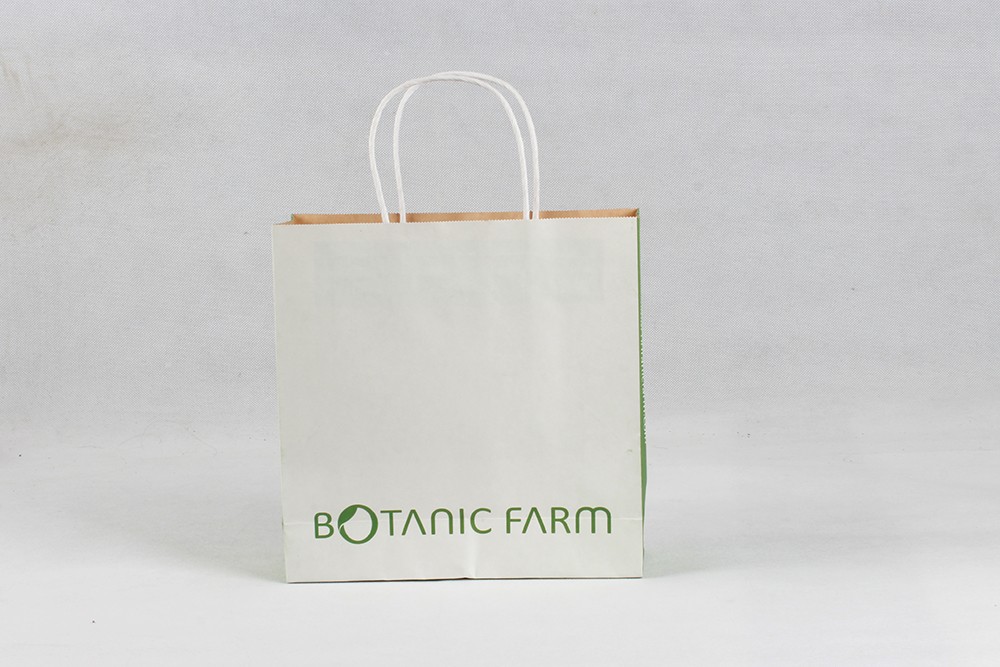 時(shí)尚牛皮紙袋  BOTANIC FARM